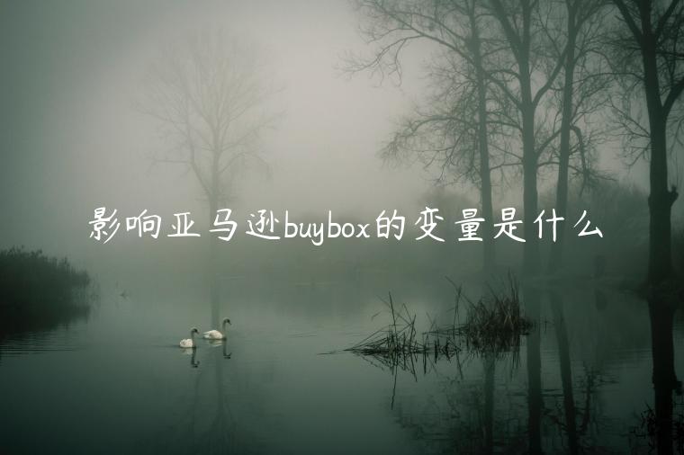 影響亞馬遜buybox的變量是什么